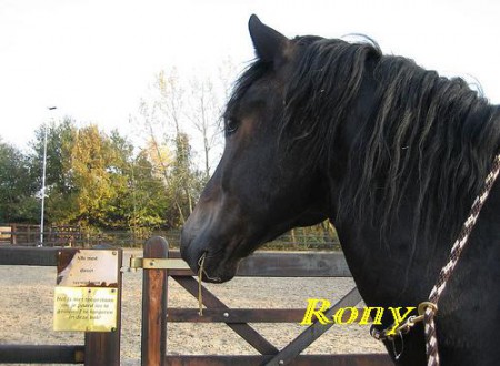 Rony